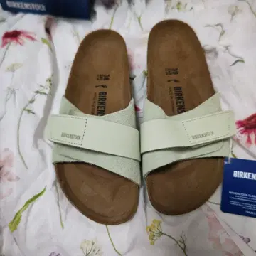 BIRKENSTOCK 오이타 38 (24.5cm) 라이트 그린