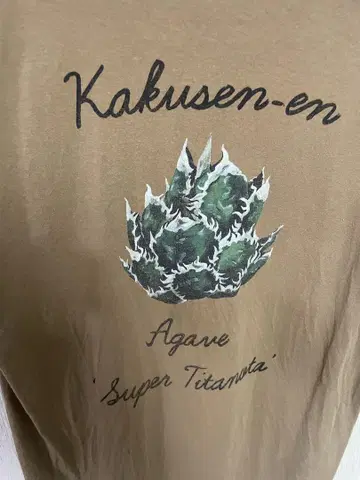 FLAGSTUFF 아가베 T셔츠