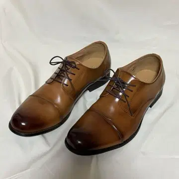 Design Custom 신발