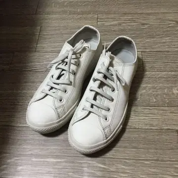 089 컨버스 24cm