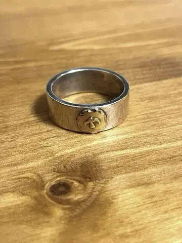 goro's 평평한 링 22호