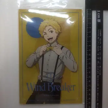 WIND BREAKER 아크릴 아트 보드 드레스업 니이 아키히코 B3