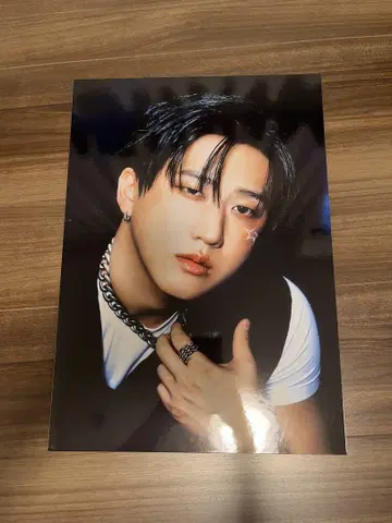 straykids 창빈 패널