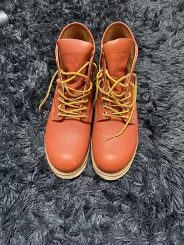 레드윙 8166 2015년제조 25.5cm