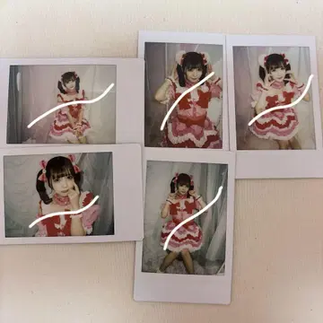 논피쿠! 코이보시 하루카 란체키