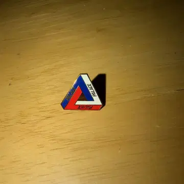 palace 핀즈