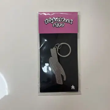테산 19.99 키링