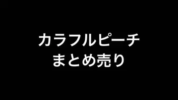 컬러풀 피치 묶음 판매