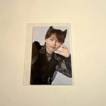 초특급 NINE LIVES 마사히로 트레이딩 카드