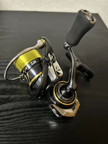 다이와 21 칼디아 FC LT1000S