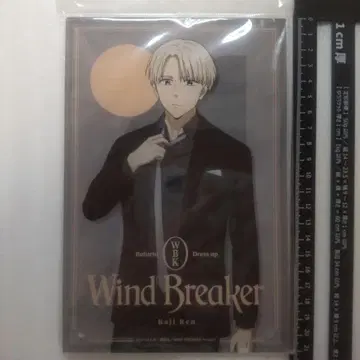 아크릴 아트 보드 드레스업 WIND BREAKER 카지 렌 B3