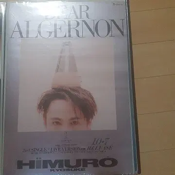 DEAR ALGERNON 히무로 쿄스케