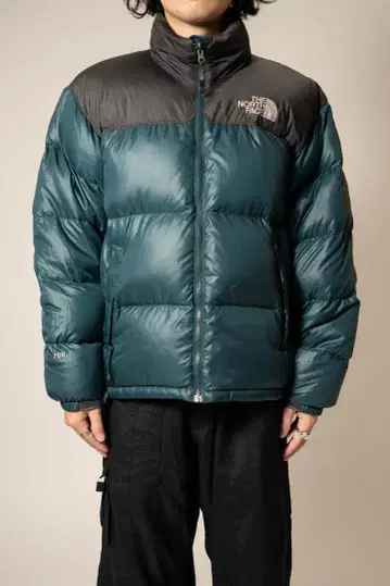 THE NORTH FACE Down Jacket