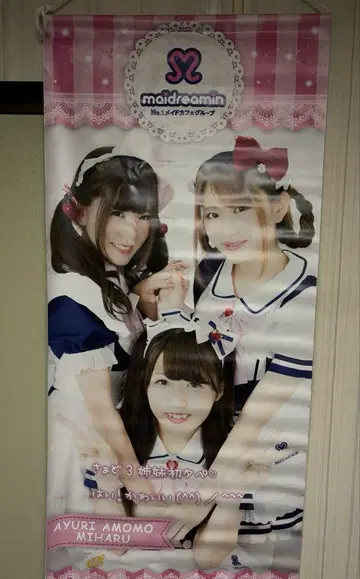 메이드리민 왕 타피스트리