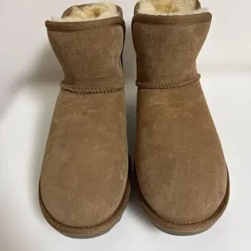 Costco 브라운 스웨이드 어그 부츠