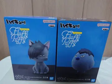 하이큐!! Fluffy Puffy 카게 유리 & 쿠로오 고양이