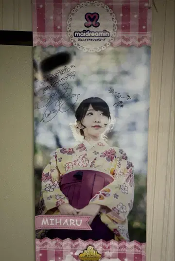 메이드리밍 왕 타페스트리