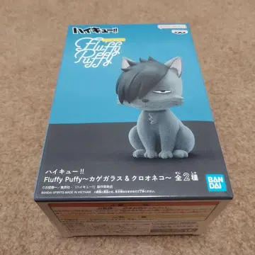 하이큐!! Fluffy Puffy 쿠로오네코