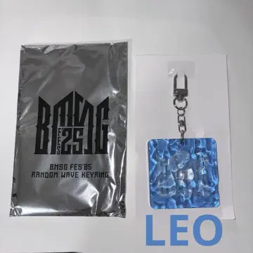 BMSG FES'25 랜덤 웨이브 키링 LEO