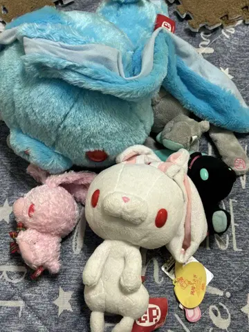 범용 토끼