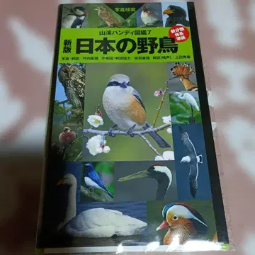 일본 야생 조류 사진 검색