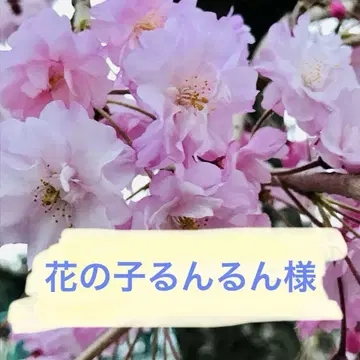 꽃의 요정 루루님 양면 L자 패널 파우치 리퀘스트