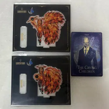 라이브러리 오브 루인 세트 잔향악단 2차 필립