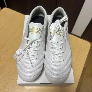 모레리아ul
