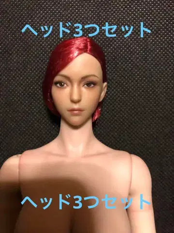 1/6 인형 피규어 여성 헤드 3개 세트