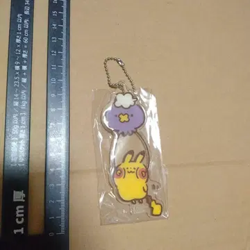 포켓몬 카나헤이 yurutto 후완테 피카츄 아크릴 키링
