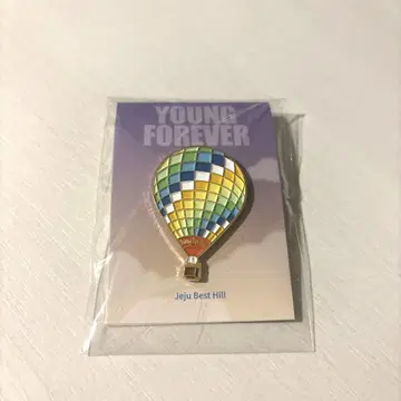 BTS Young Forever 기구 핀 배지