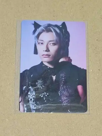 초특급 NINE LIVES 트레이딩 카드