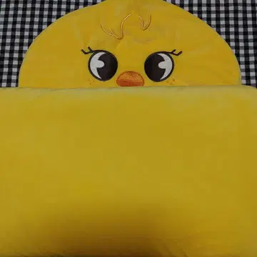 스키즈 스트레이 키즈 담요 포가리 필릭스 straykids