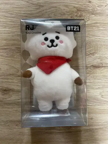 BT21 RJ 백참 봉제 인형