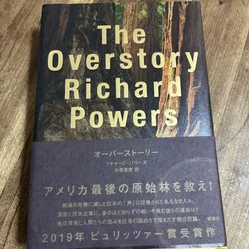오버스토리