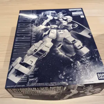 GUNDAM TR-1 HAZEL CUSTOM MG