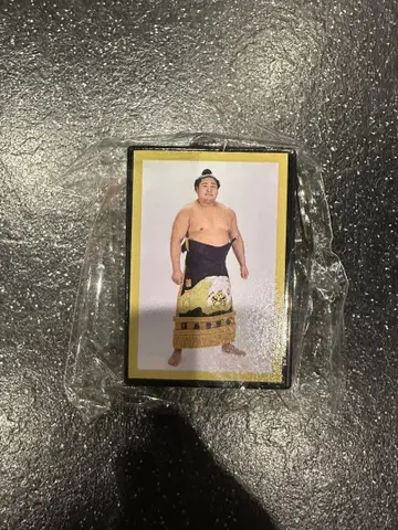 스모 가챠 아케니키 키링 와카모토하루