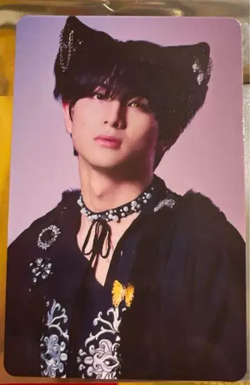 초특급 NINE LIVES 트레이딩 카드