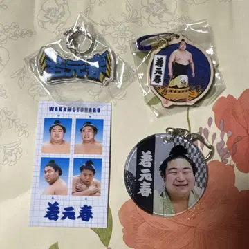 대스모 가챠 와카모토하루 증명사진풍 스티커 아크릴 키링 우드 스트랩 세트