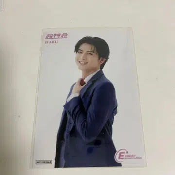 EBiDAN museum 하루 입장 혜택