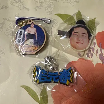 스모 가챠 와카모토하루 우드 스트랩 레트로 아크릴 헤어핀 세트