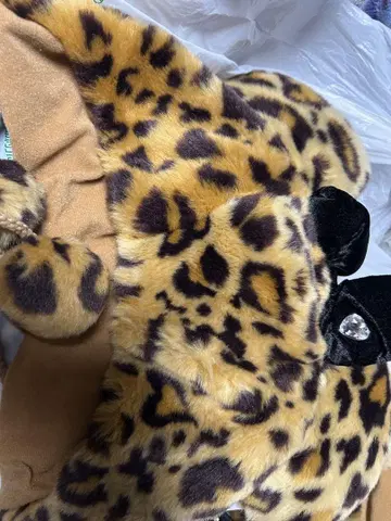 디즈니 팬캡 레오파드 무늬