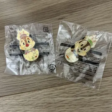 칩과 데일 핀 배지 세트