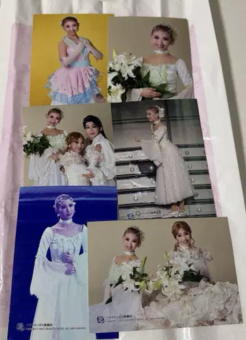 하우텐보스 가극단 블루 로즈 브로마이드 6장