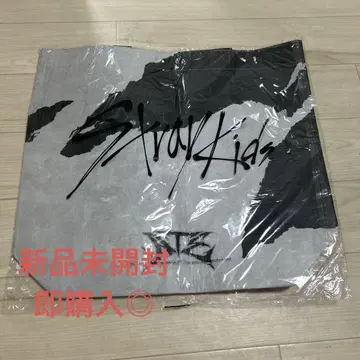 StrayKids ATE 서울 팝업 백