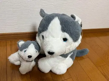 세이코 마트 허스키 개 모자 봉제 인형 세트