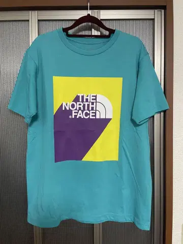 THE NORTH FACE 터콰이즈 T셔츠 L