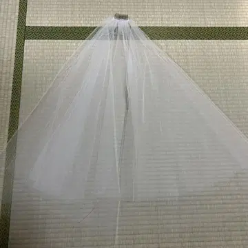 베일 웨딩