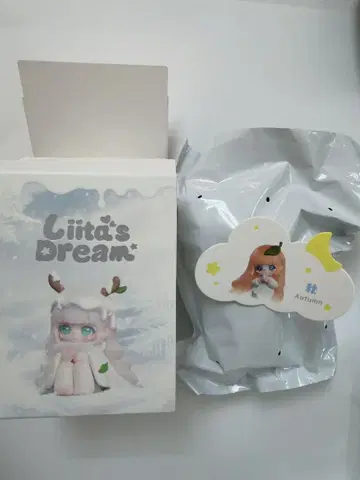 Liita s dream 리이타의 꿈 가을 autumn