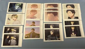 기븐 바다로 파샤코레 히이라기 마히루